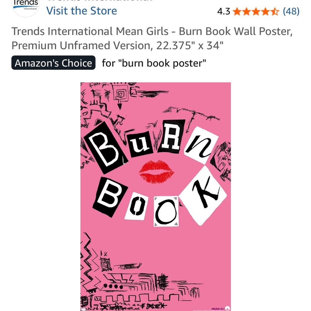 Pink Burn Book Wall Poster, brand new